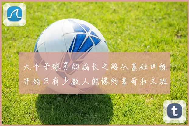 大个子球员的成长之路从基础训练开始只有少数人能像约基奇和文班那样成功
