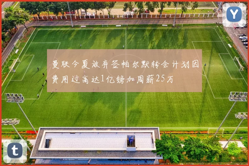 曼联今夏放弃签帕尔默转会计划因费用过高达1亿镑加周薪25万