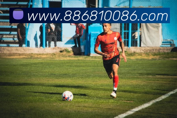 8868体育平台生态图